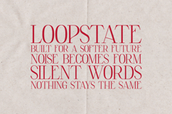 Elara Elegant Modern Serif Font Product Image 4