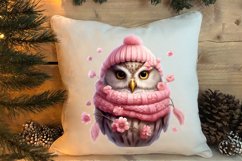Christmas Owl Clipart, Christmas Owl Clipart, Christmas Owl Product Image 4