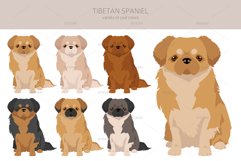 Tibetan Spaniel clipart Product Image 4