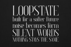 Elysian Elegant Modern Serif Font Product Image 4