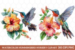 Watercolor Hummingbird Nursery Clipart, Watercolor Clipart Product Image 1