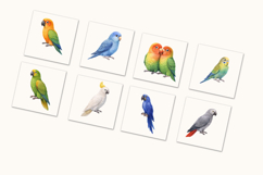 Colorful Parrots Clipart Bundle 20 Product Image 4