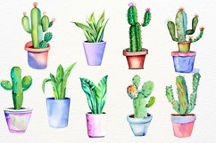 House Plants Watercolor Clipart, Indoor Plants Product Image 4