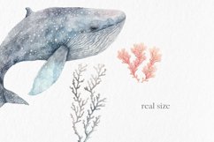 Whales Watercolor Clipart PNG Product Image 4