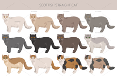 Scottish Straight Cat clipart Product Image 2