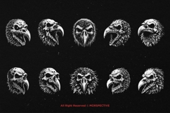 10 Bundle Dark Art Raven Skull Bird Death Crow Horror Animal Product Image 6