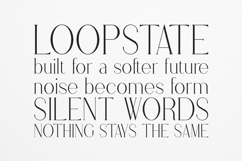 Stolen Love Elegant Modern Serif Font Product Image 4