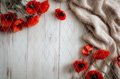 Poppy Background PNG, Wooden Background Designs Product Image 4