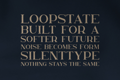 Nelipot Organic Serif Font Product Image 4