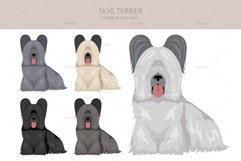 Skye Terrier clipart Product Image 3