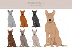 Thai Ridgeback clipart Product Image 3