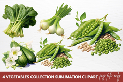 Cute Vegetables Sublimation Clipart Product Image 1