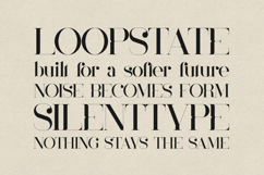 Mother Elegant High-Contrast Serif Font Product Image 4