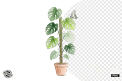 Summer Wildflowers &amp; Bird &amp; Insect Clipart - Houseplant PNG Product Image 1
