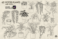 Potted Plants Procreate stamps Product Image 4