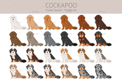 Cockapoo. Cocker Spaniel-Poodle mix Product Image 3