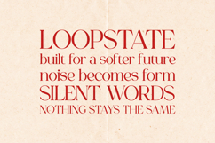 Gorga Vintage Serif Font Product Image 4