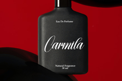 Antique Product Image 4