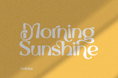 Saltstar Serif Font Product Image 4