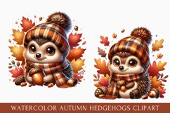 watercolor autumn hedgehog clipart, autumn hedgehog Clipart Product Image 1