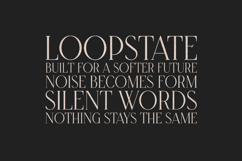 Grace Elegant Modern Serif Font Product Image 4