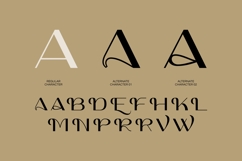 Gracie Aquos - Elegant Sans Serif Product Image 4