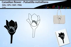 Floral outline and silhouette / Pulsatilla nuttalliana Product Image 2