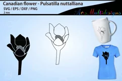 Floral outline and silhouette / Pulsatilla nuttalliana Product Image 1
