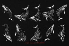 10 Bundle Dark Art Death Whale Skeleton Fish Predator Product Image 6