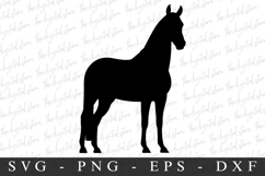Horse SVG | SVG Cut files | Cricut Product Image 1
