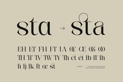 Rengok - Aesthetic Serif Font Product Image 4