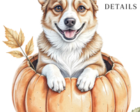 Funny Corgi Clipart, 20 PNG Cute Dog Product Image 4