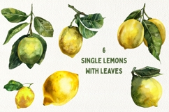 Watercolor Juicy Hand-Painted Lemons Clipart PNG Product Image 4