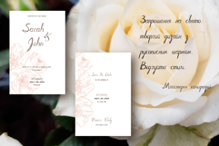 Moderna Script Product Image 4