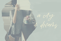 Angeleno Brush Script Product Image 4