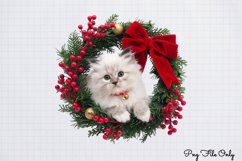Christmas Cats Clipart PNG Product Image 1