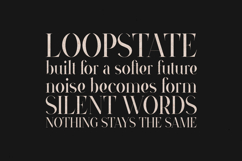 VSOP Elegant Luxury Serif Font Product Image 4
