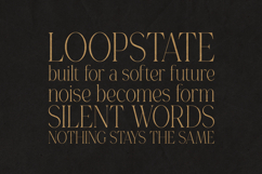 Gorga Luxury Serif Font Product Image 4