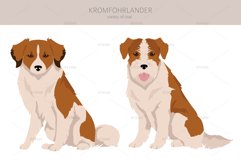 Kromfohrlander clipart Product Image 5