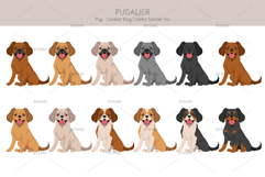 Pugalier Cavapug dog mix Product Image 3