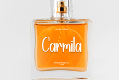 Special Christmas Product Image 4