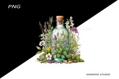 Watercolor bottle and herbs clipart Product Image 1