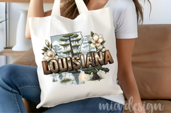 Louisiana PNG, Vintage State Pride Sublimation Design Product Image 4
