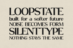 Signa Elegant Serif Modern Editorial Typeface Product Image 4