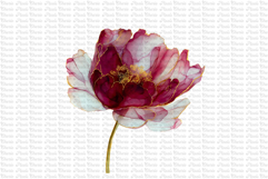 12 Burgundy Red and Gold Flowers PNG Product Image 2
