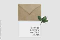 Spring Market Serif Product Image 6