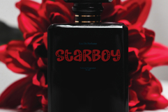 Star House Product Image 4