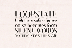 Black Goose Modern Editorial Serif Font Product Image 4
