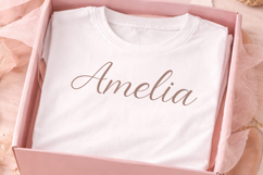 Amber Light - Elegant Handwritten Script Font Product Image 4