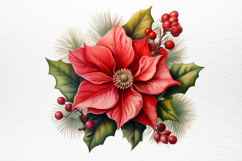 Christmas Flower Bouquet Clipart PNG Product Image 4